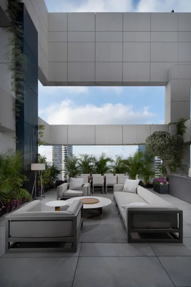 Natural light and planted boundaries
