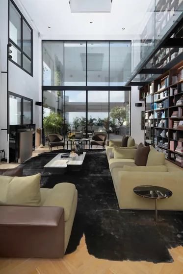 Double-height living and glazing